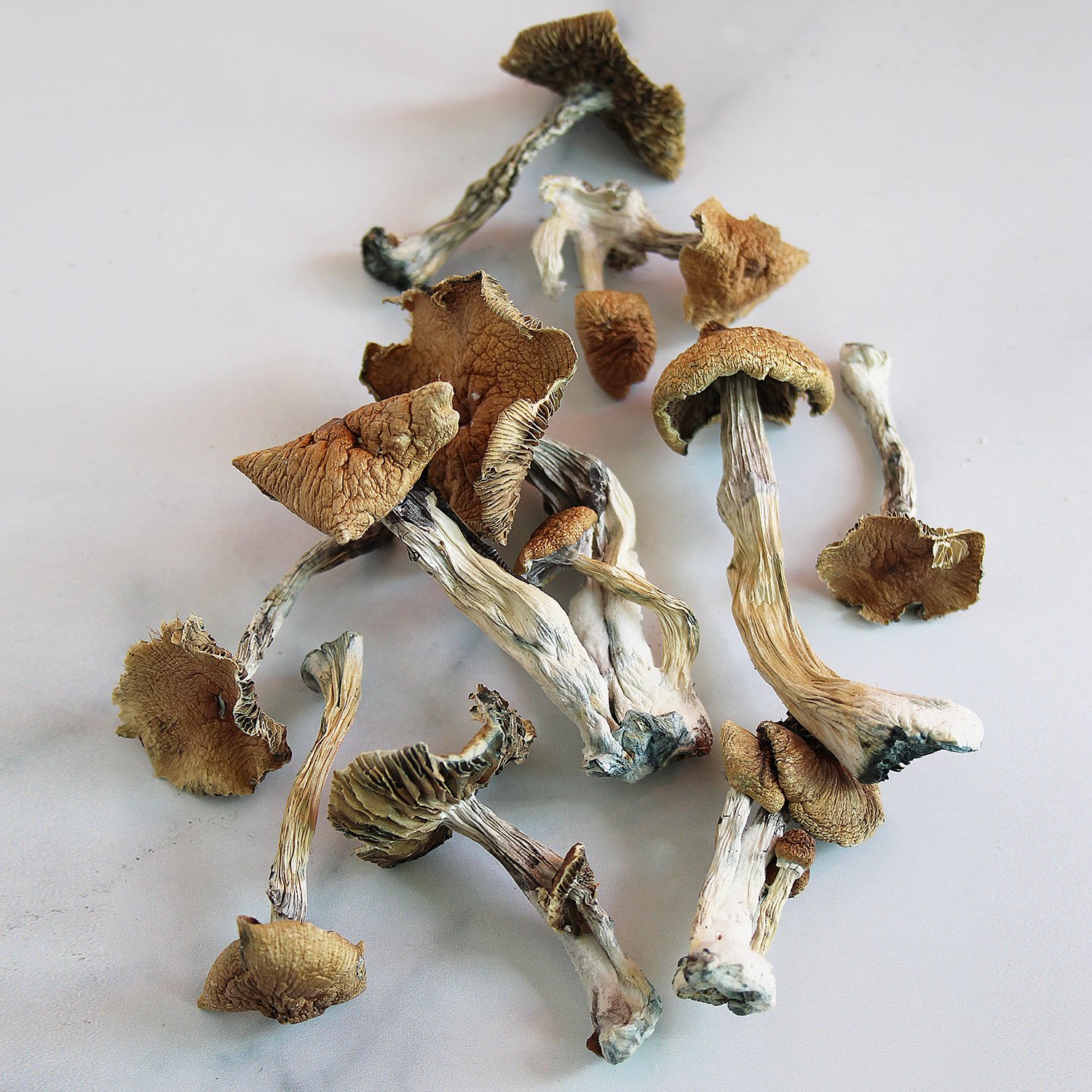 Huautla1500px-03-Laid-Out.jpg