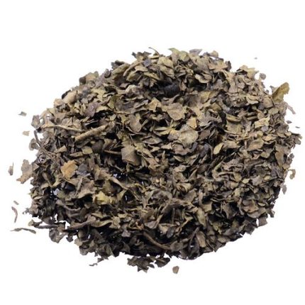 Buy Salvia Divinorum